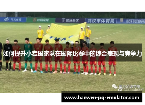 如何提升小麦国家队在国际比赛中的综合表现与竞争力