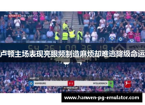卢顿主场表现亮眼频制造麻烦却难逃降级命运